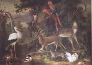 Jakob Bogdani Birds and deer in a Garden (mk25) oil painting reproduction